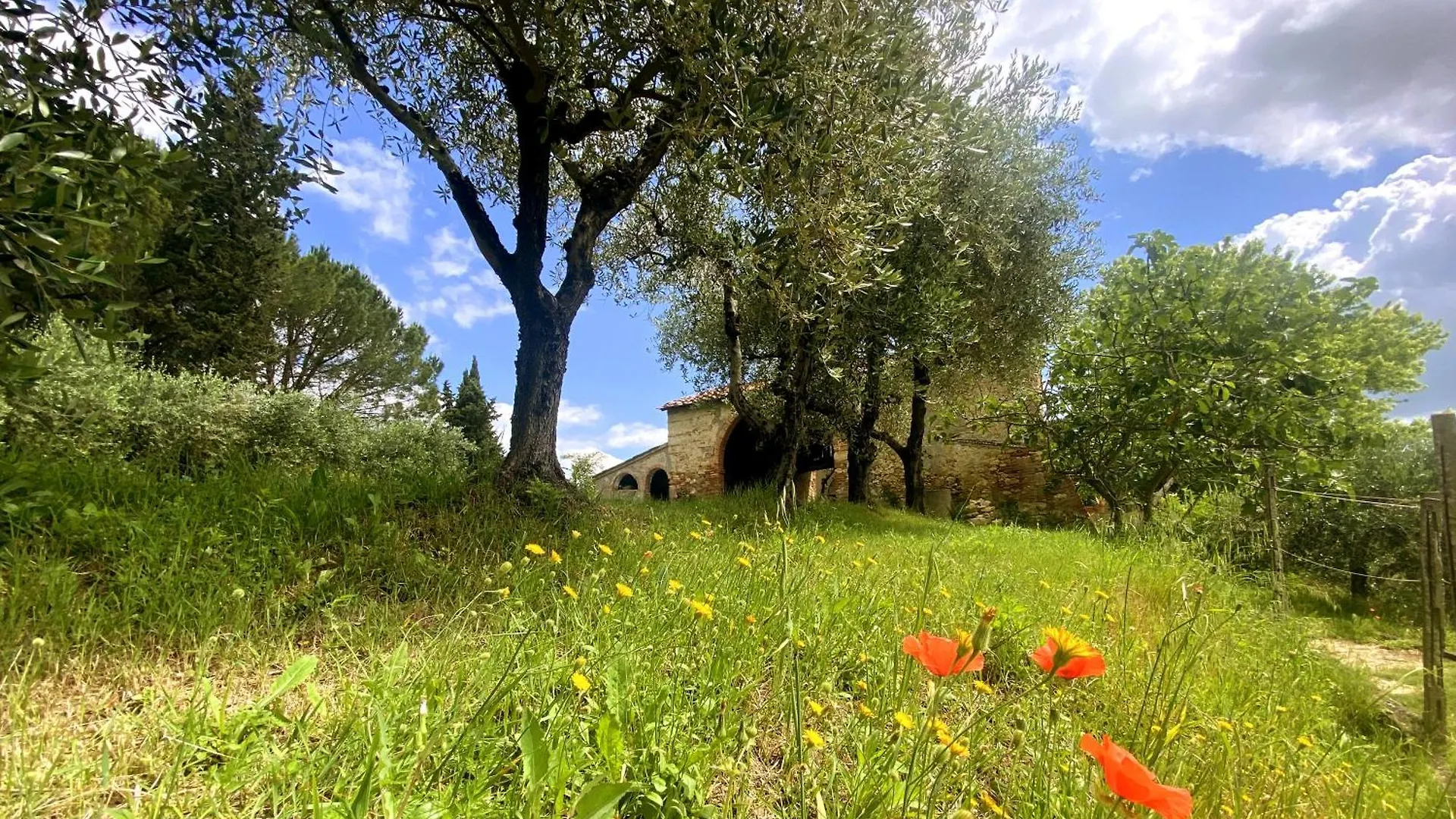 La Tonnaia Apartment Lari Italy