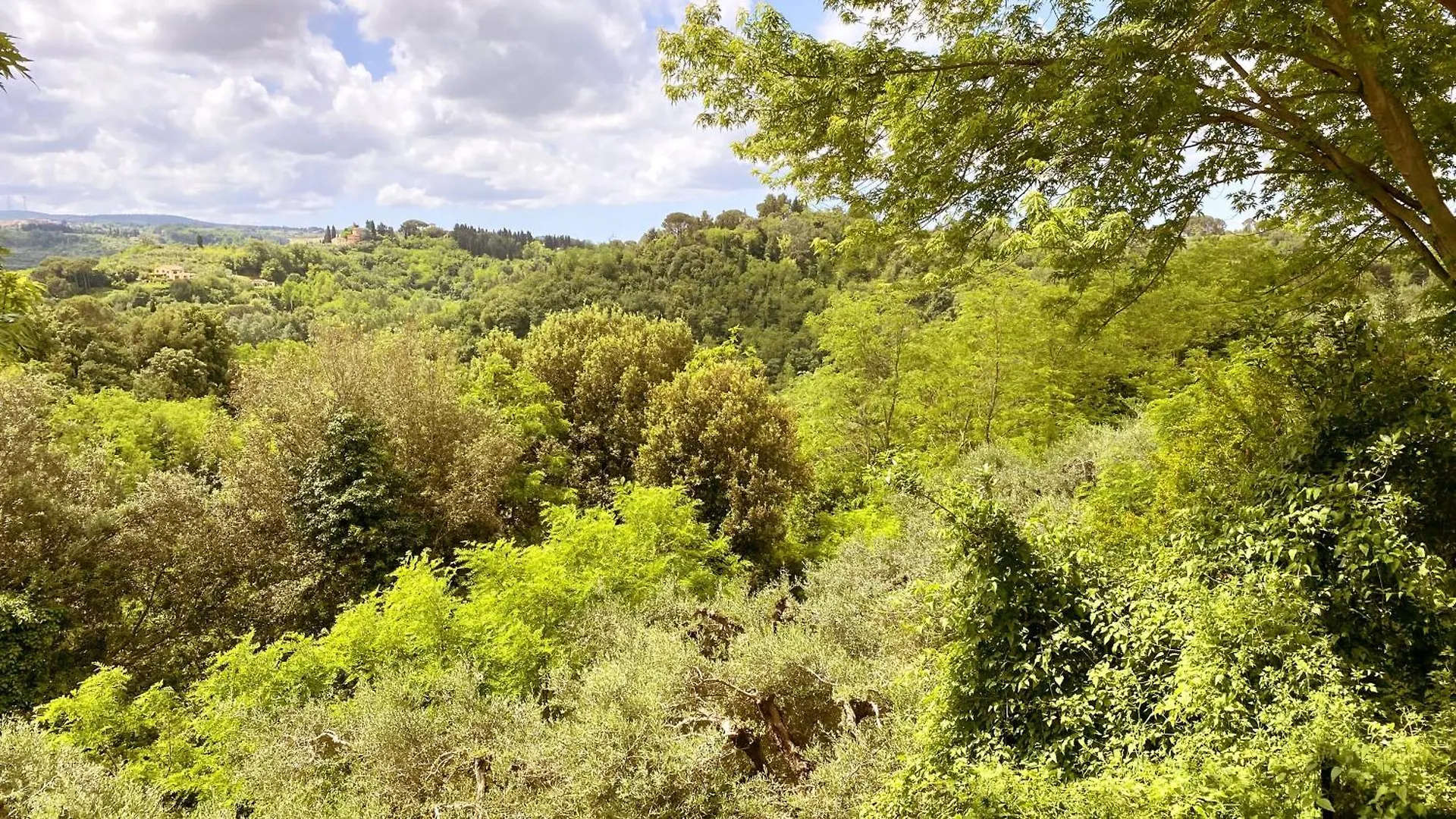 Appartamento La Tonnaia Lari